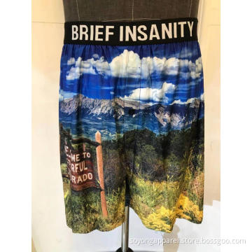 Adults Men US size Printed Brief Shorts
